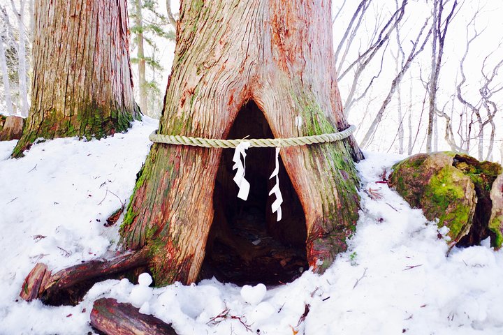 Togakushi: A Serene Walk Through Sacred Forests & Soba Traditions