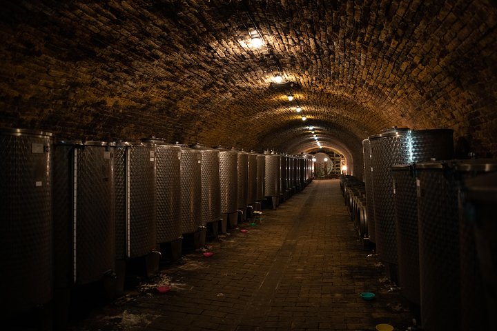 Northern Serbia: Sremski Karlovci and Novi Sad Full-Day Tour from Belgrade