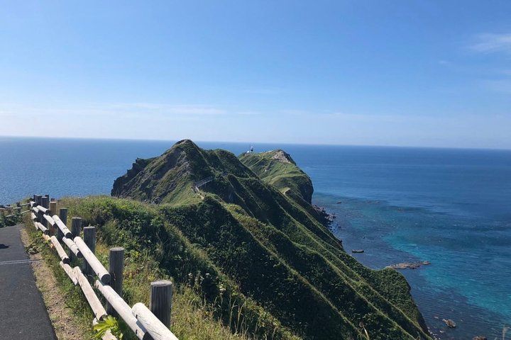 Hokkaido Day Trip to Shakotan Peninsula from Sapporo