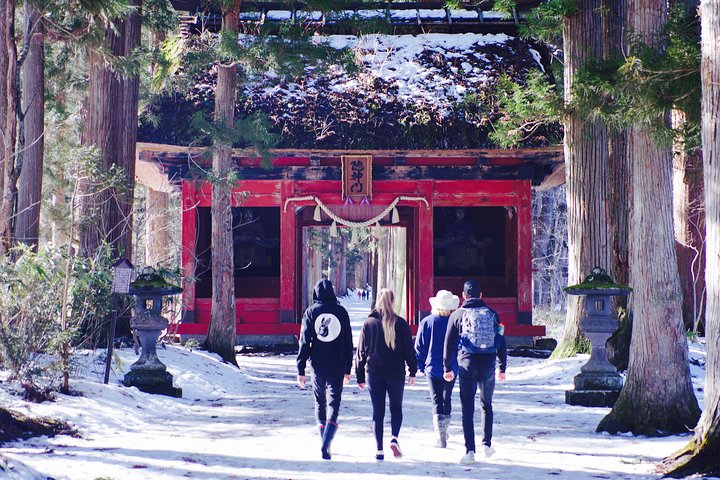 Togakushi: A Serene Walk Through Sacred Forests & Soba Traditions