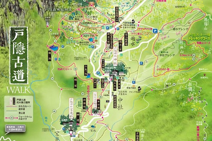 Togakushi: A Serene Walk Through Sacred Forests & Soba Traditions