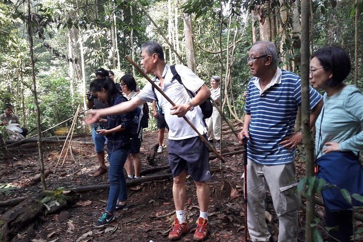 Medan - Bukit Lawang Fullday Tour