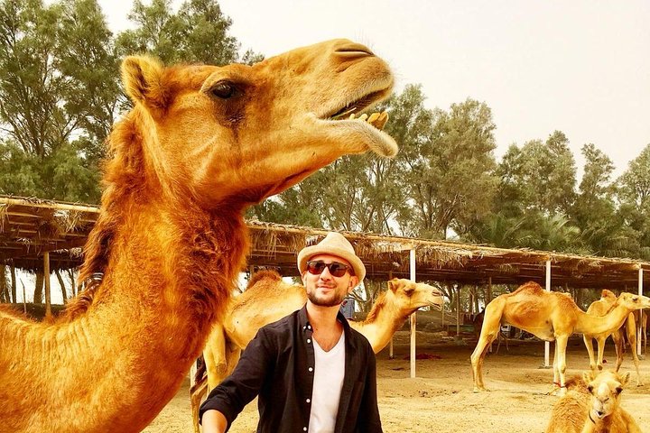 Best Bahrain Tour - Select 1 of 9+ Private & Shared Tours
