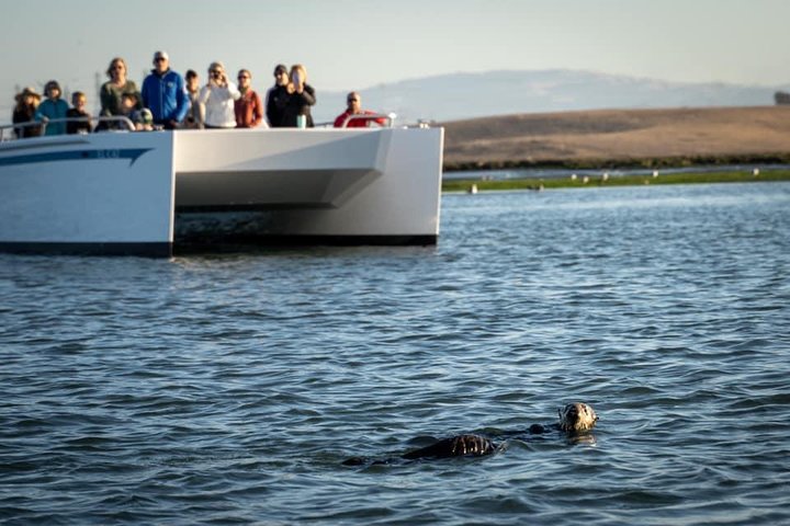 Elkhorn Slough Wildlife Tour