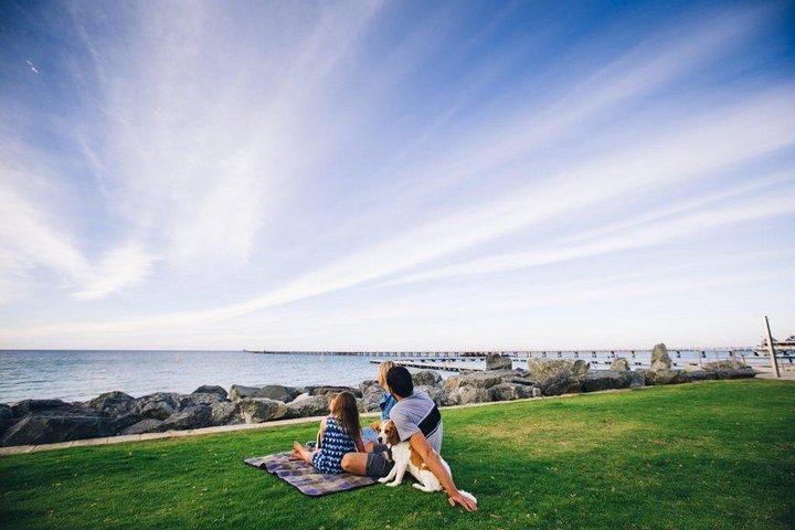 Full-Day Boutique Wine Tour with Pick Up and Lunch
