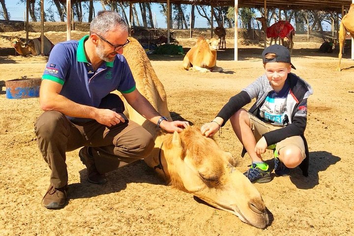 Best Bahrain Tour - Select 1 of 9+ Private & Shared Tours