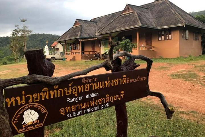 Elephant and Wildlife Watching in Kuiburi National Park - Private Afternoon Tour