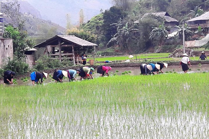 Ha Giang Loop 4 Days 3 Nights Motorbike Tour with easy Rider