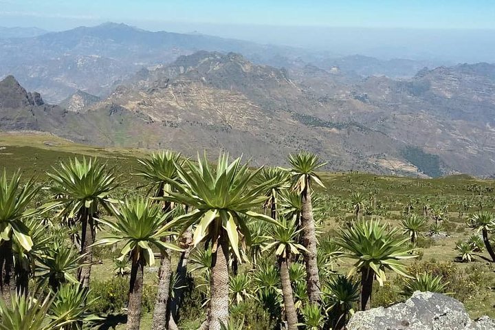 Tour 11 monolithic rock churches & museum in Lalibela & cave church with mummies
