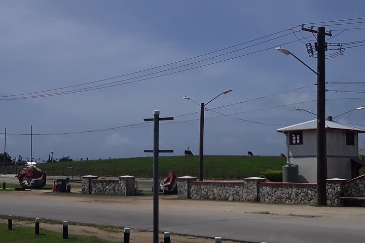 Full Island Cultural and History Tour