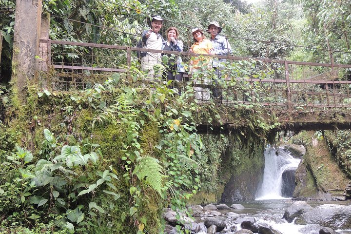 Mindo Cloud Forest Private Day Tour