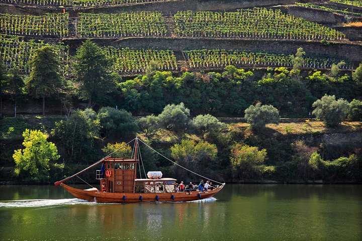 Douro Valley Tour: Wine Tasting, Cruise and Lunch from Porto