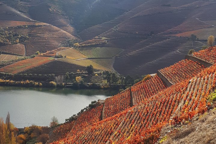 Wine experience with a sommelier