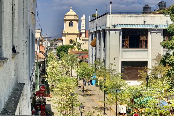 Leon City Walking Private Tour