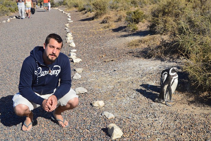 Punta Tombo Tour, the Penguin Experience