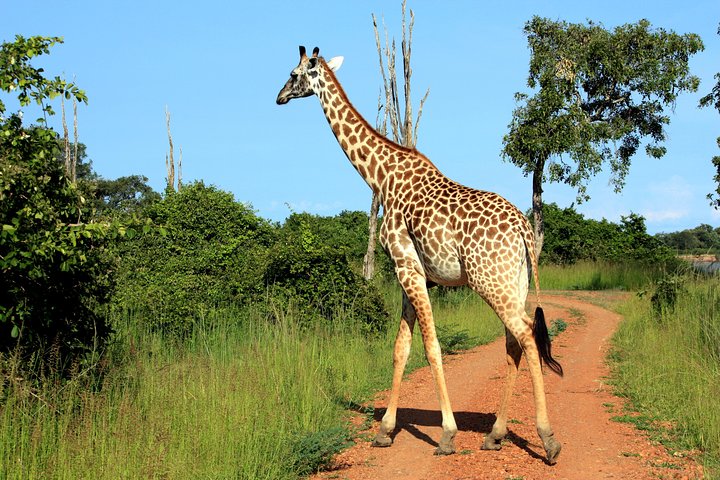 Exciting Lusaka to Livingstone Overland Adventure Tour - 6 Days