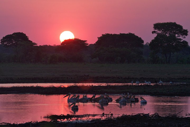 Exciting Lusaka to Livingstone Overland Adventure Tour - 6 Days