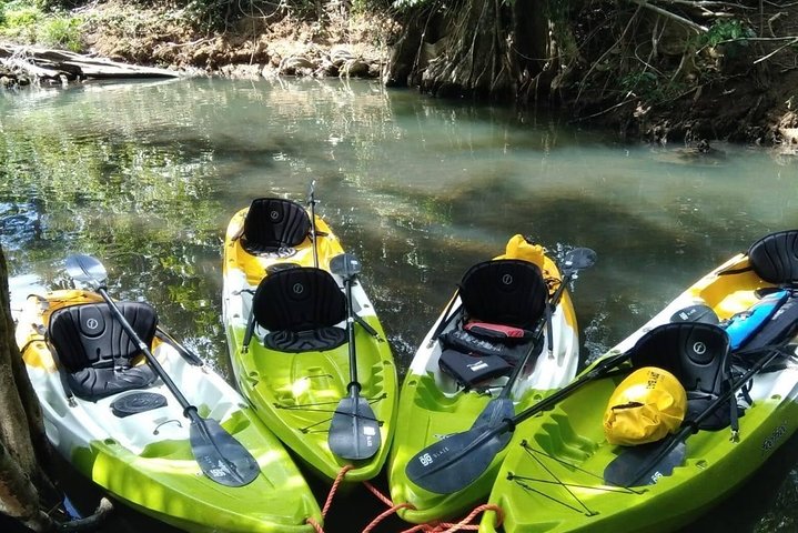DG Tours - Full-Day Private Tour Experience
