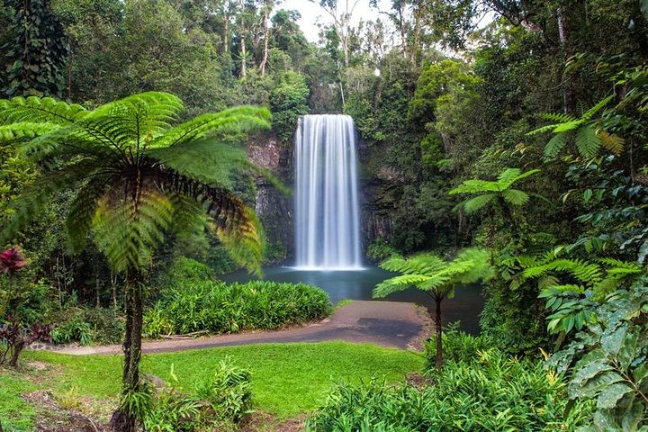 Cairns & Port Douglas All-Inclusive 7 Days Touring Package