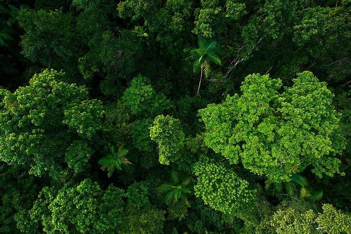Cairns & Port Douglas All-Inclusive 7 Days Touring Package
