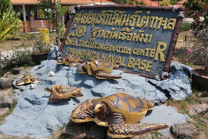 Khao Lak: Bamboo Rafting & Sea Turtle Conservation Center