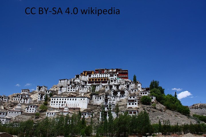Leh Monastry Half Day Tour