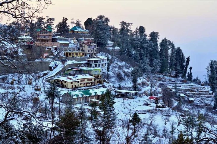 Private 6 Days Shimla Kullu Manali Tour From Chandigarh