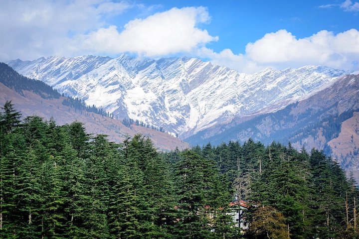 Private 6 Days Shimla Kullu Manali Tour From Chandigarh