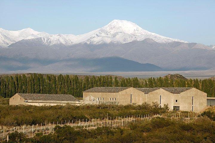 Malbec & Mountain Uco Valley Private Wine Tour with Gourmet Lunch