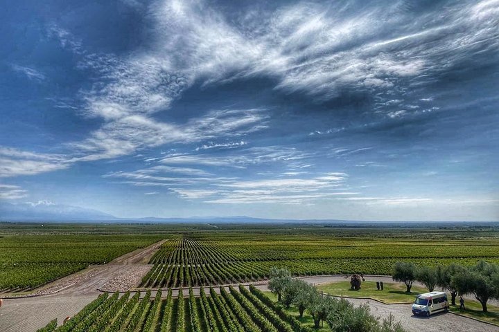 All Day, Small Group, Luxury Wine Tour with Gourmet Lunch