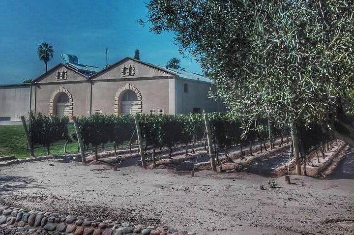All Day, Small Group, Luxury Wine Tour with Gourmet Lunch