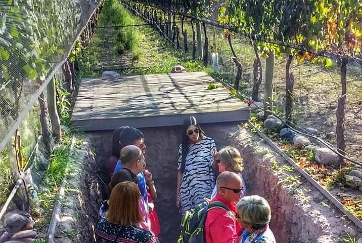Malbec & Mountain Uco Valley Private Wine Tour with Gourmet Lunch