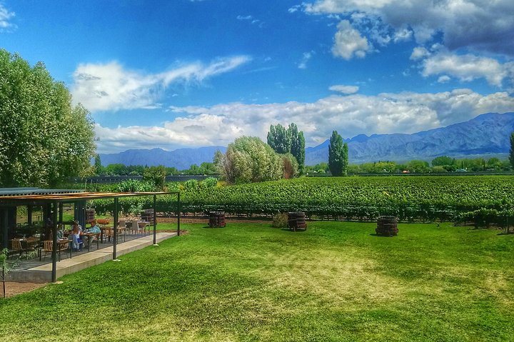 All Day, Small Group, Luxury Wine Tour with Gourmet Lunch