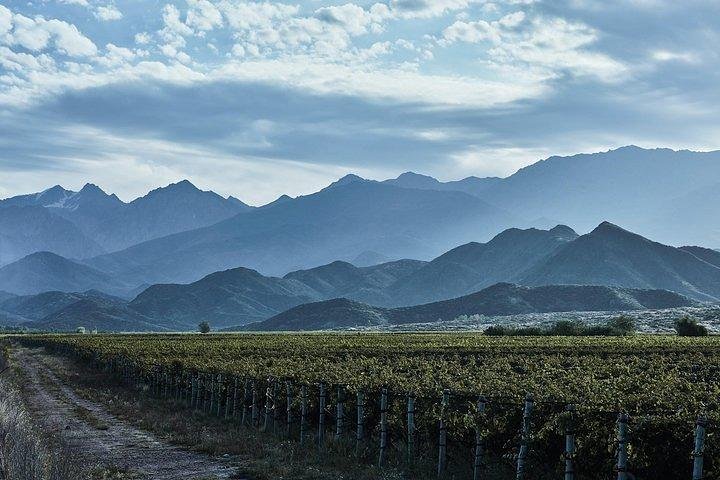 All Day, Small Group, Luxury Wine Tour with Gourmet Lunch