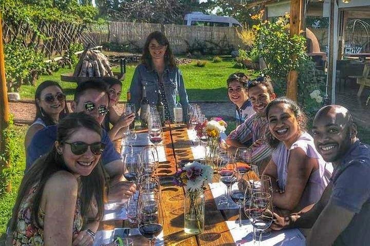 All Day, Small Group, Luxury Wine Tour with Gourmet Lunch