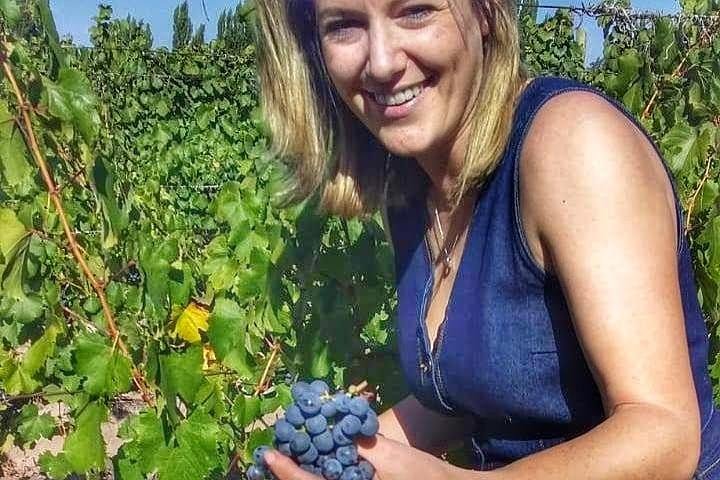 All Day, Small Group, Luxury Wine Tour with Gourmet Lunch