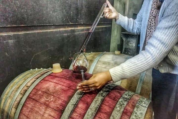 All Day, Small Group, Luxury Wine Tour with Gourmet Lunch