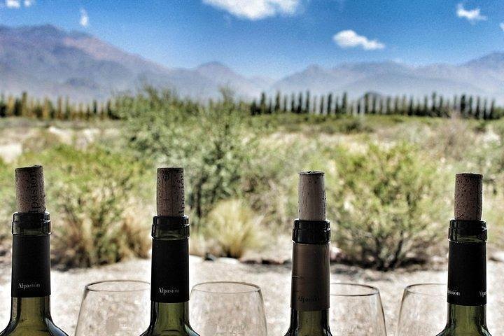 Malbec & Mountain Uco Valley Private Wine Tour with Gourmet Lunch