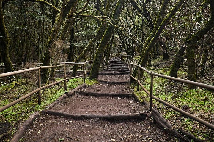 La Gomera Island Tour