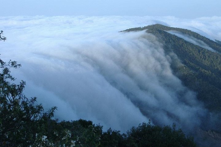 La Gomera Island Tour