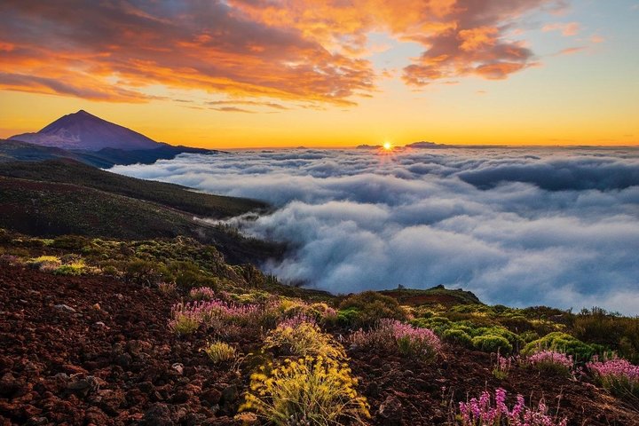 Teide Half Day National Park Bus Tour