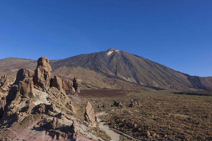 Teide Half Day National Park Bus Tour