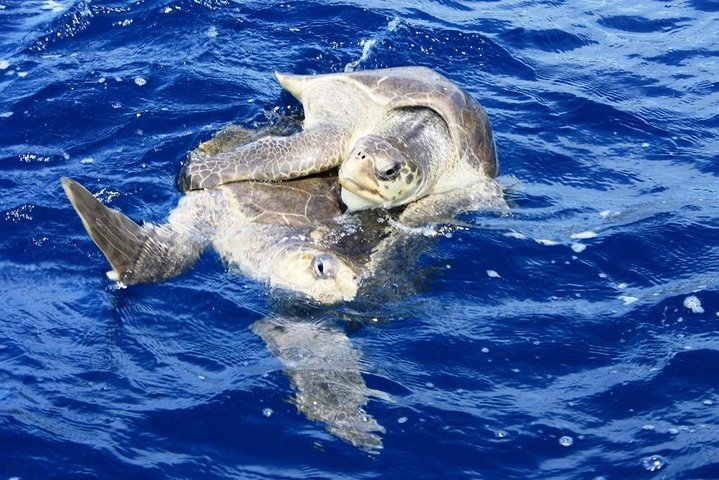 Bays of Huatulco Boat Tour