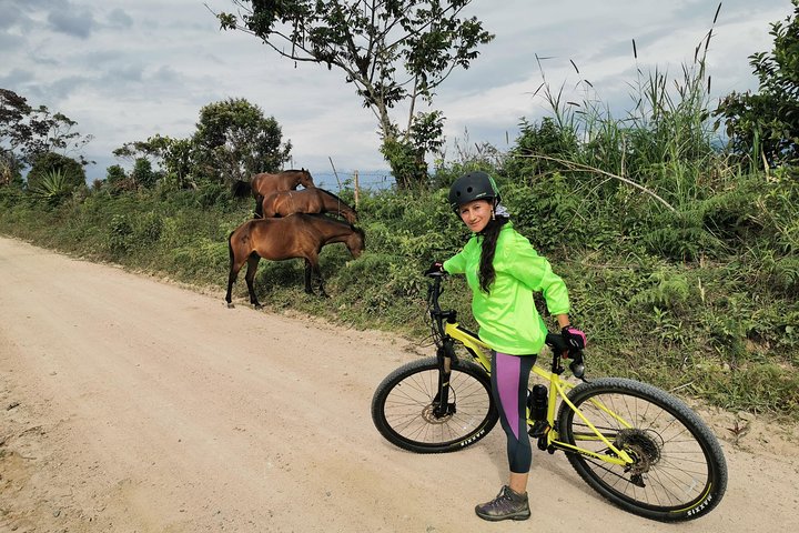 Quebradillas Route