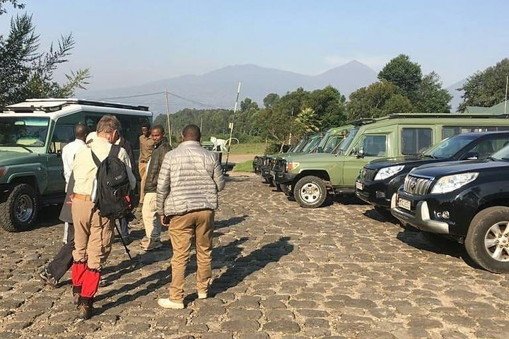 1 Day Gorilla Trekking Rwanda