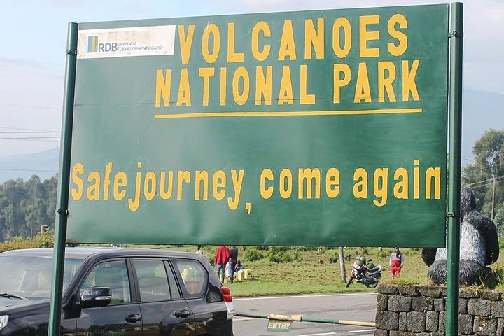 1 Day Gorilla Trekking Rwanda