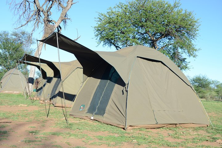 4 Days Tarangire ,Serengeti &Ngorongoro crater group Tour