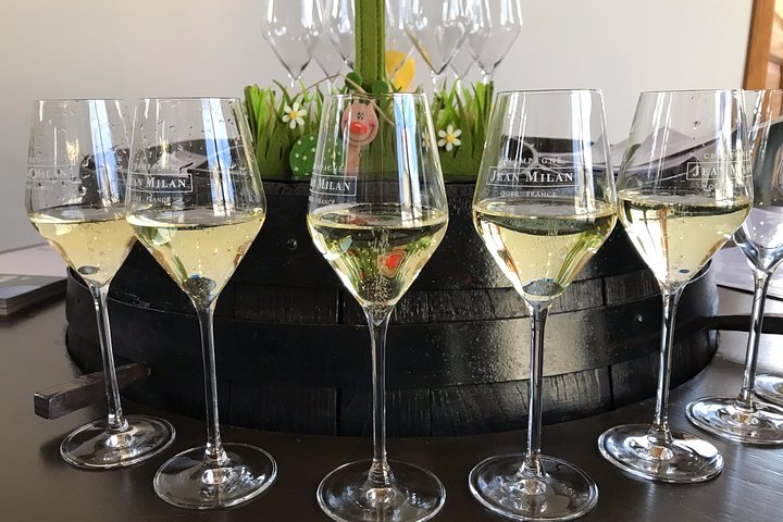 Gold Champagne Experience from Epernay (Private Full day tour)