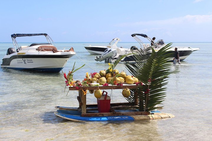 Dolphin Encounters, Ile aux Benitier & Crystal rock: Full-Day (Lunch & Transfer)
