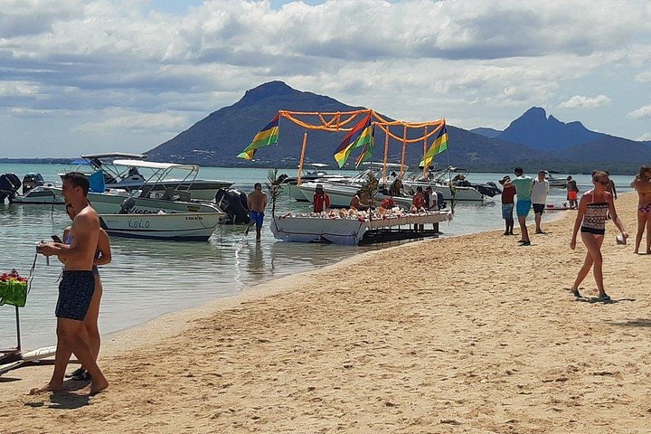 Dolphin Encounters, Ile aux Benitier & Crystal rock: Full-Day (Lunch & Transfer)